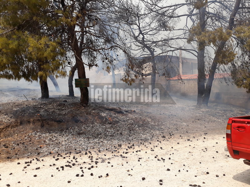 Σε κατάσταση εκτάκτου ανάγκης η Αττική -Ανεξέλεγκτες οι φωτιές (vid)