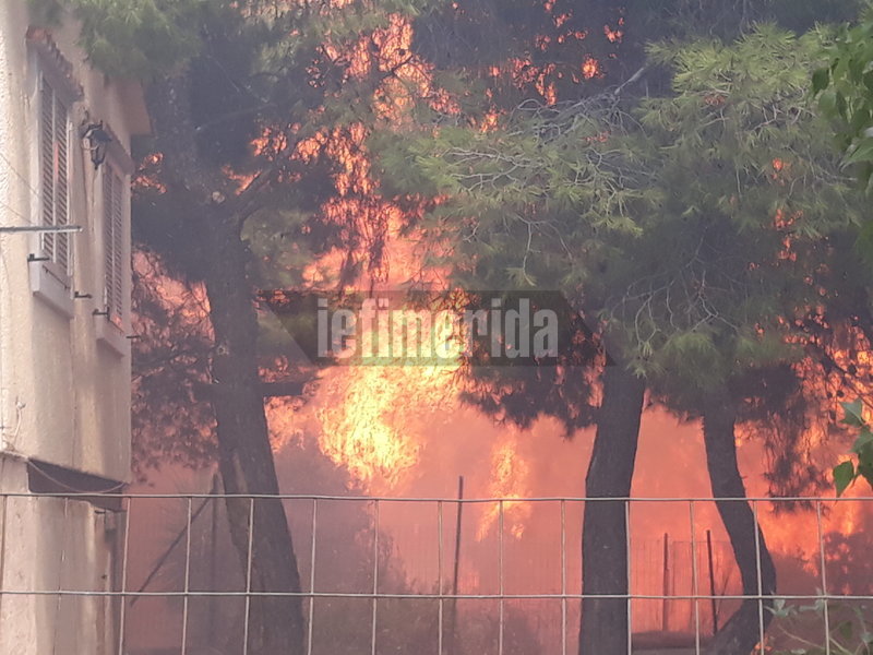 Σε κατάσταση εκτάκτου ανάγκης η Αττική -Ανεξέλεγκτες οι φωτιές (vid)