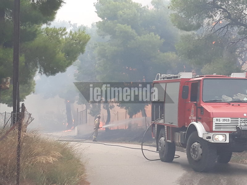 Σε κατάσταση εκτάκτου ανάγκης η Αττική -Ανεξέλεγκτες οι φωτιές (vid)