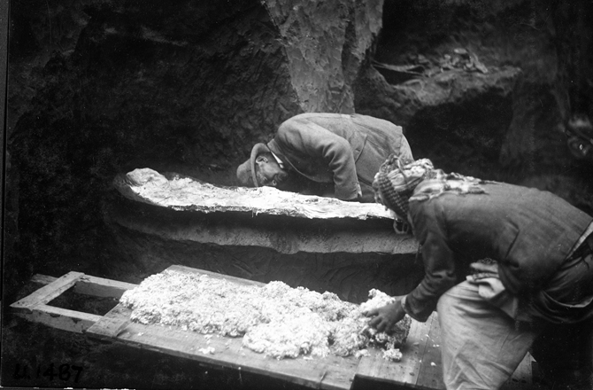 Σκελετός που επιβίωσε από βιβλική καταστροφή βρέθηκε σε υπόγειο μουσείου στις ΗΠΑ