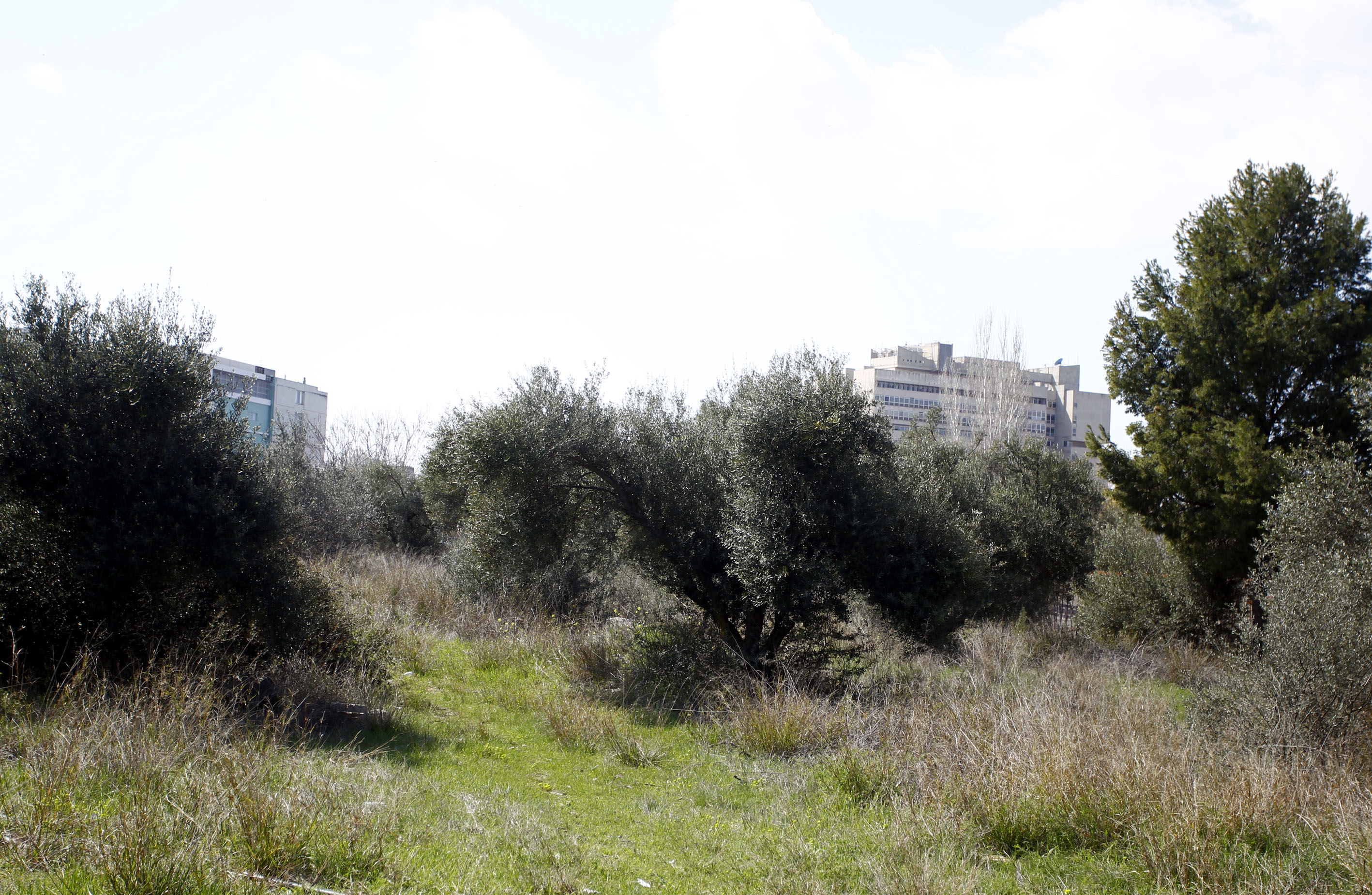 4079075 | Lamianow.gr