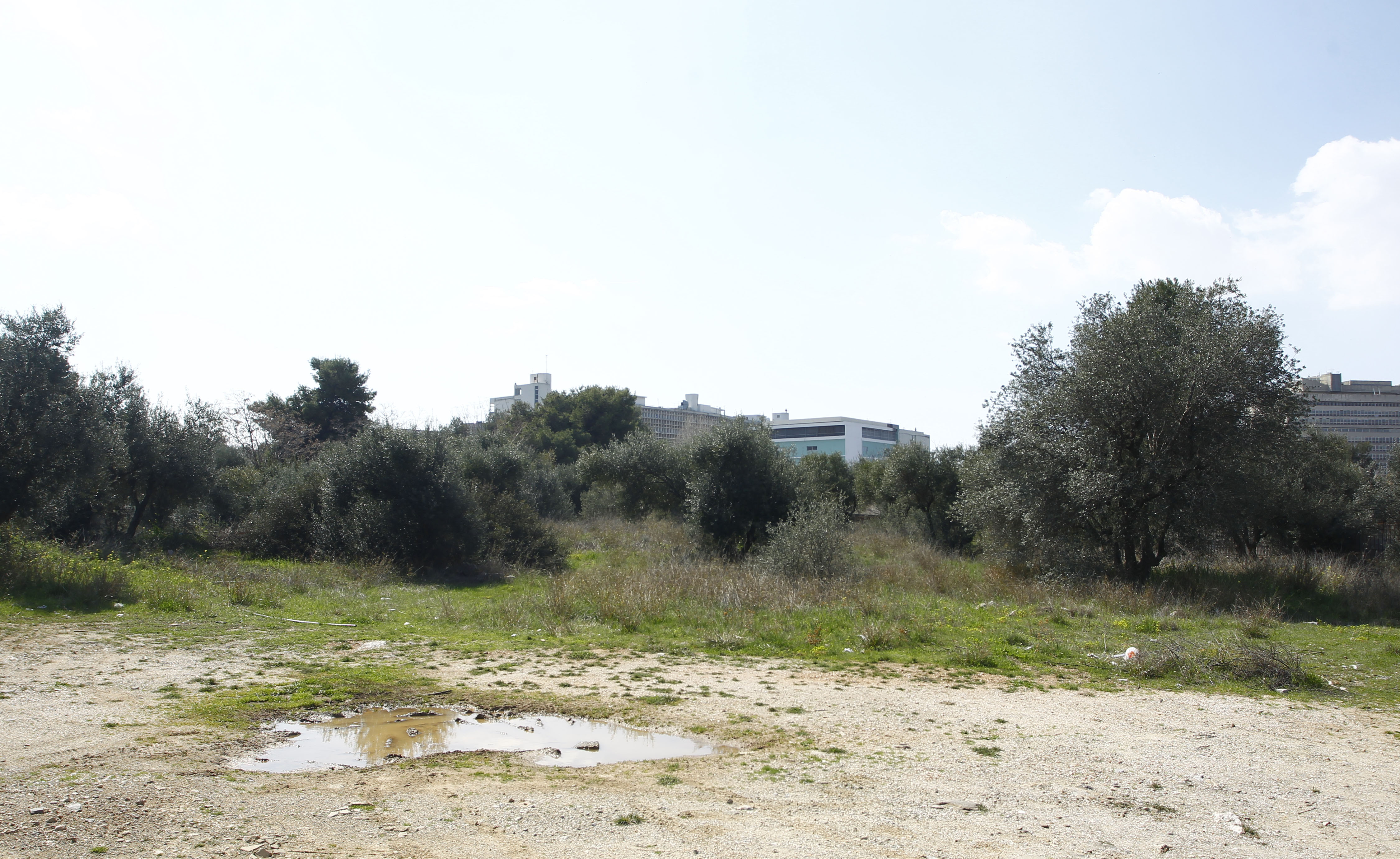 4079087 | Lamianow.gr