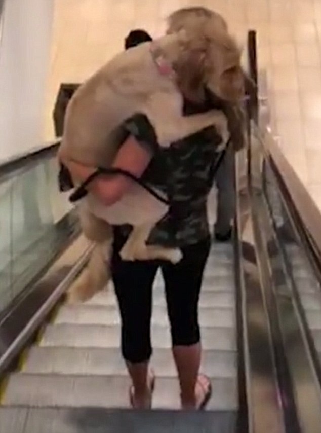 Ενας σκύλος... κότα. 