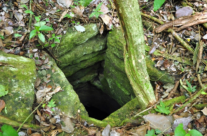 Αρχαίες πόλεις των Μάγια ανακαλύφθηκαν σε ζούγκλα 
