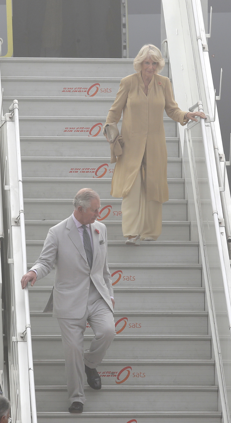 ap 17312343924434 | Lamianow.gr