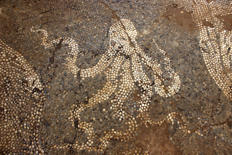 Στο κέντρο απεικονίζεται χταπόδι με πέντε πλοκάμια και δύο ερυθρωπούς οφθαλμούς