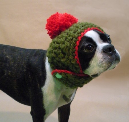 beantown handmade holiday hat 450x426 VIDEO: Η απίστευτη ιστορία του Bean, του σκύλου μοντέλο!!!