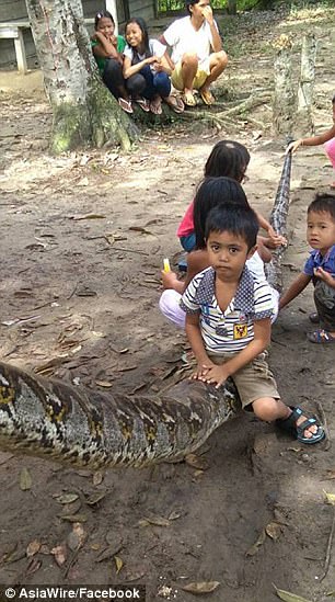 https://lamianow.b-cdn.net/wp-content/uploads/2024/03/Iamia-Now-01-1-2-1-scaled.jpg