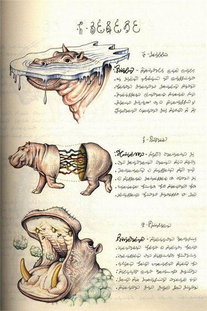 diaforetiko.gr : codex seraphinianus4 Το βιβλίο που δεν έχει καταφέρει ποτέ κανείς να διαβάσει και να αποκρυπτογραφήσει