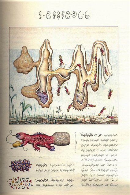 diaforetiko.gr : codex seraphinianus7 Το βιβλίο που δεν έχει καταφέρει ποτέ κανείς να διαβάσει και να αποκρυπτογραφήσει