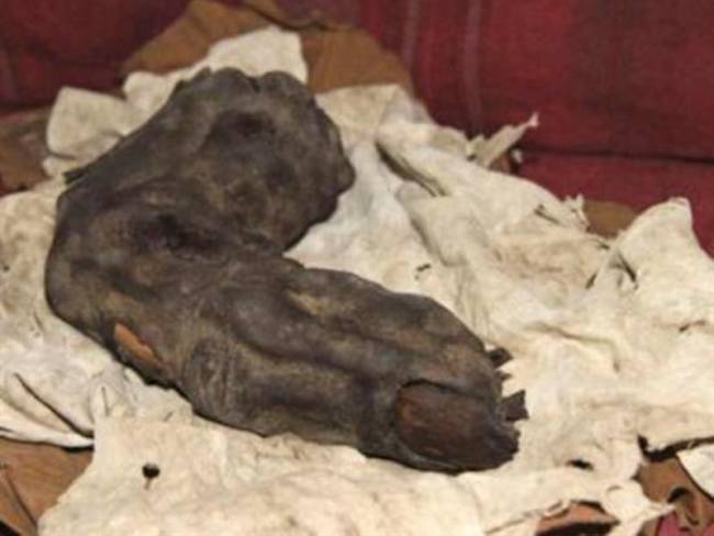 Αρχαιολόγοι ανακάλυψαν γιγαντιαίο δάκτυλο στην Αίγυπτο [εικόνα]
