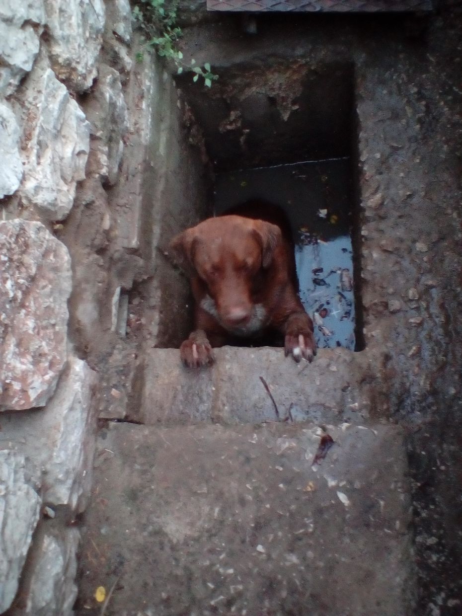 diasosi apo freatio 17 6 17 miloy 001 5 | Lamianow.gr