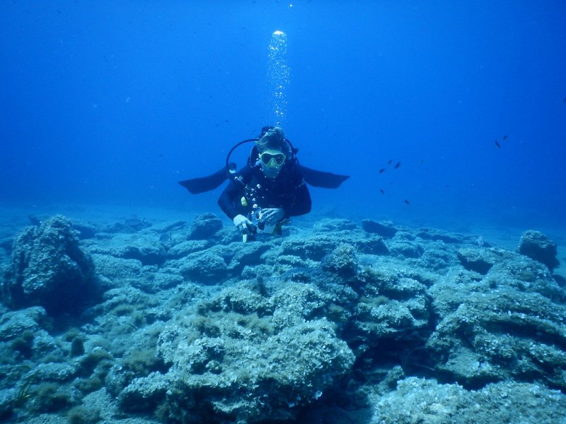 Φωτογραφία: Facebook/ Mykonos Diving Center