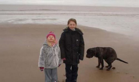 diaforetiko.gr : dog poo1 Πώς ένα όμορφο σκυλάκι μπορεί να καταστρέψει ένα φωτογραφικό στιγμιότυπο...