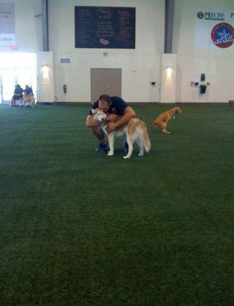 diaforetiko.gr : dog poo2 Πώς ένα όμορφο σκυλάκι μπορεί να καταστρέψει ένα φωτογραφικό στιγμιότυπο...