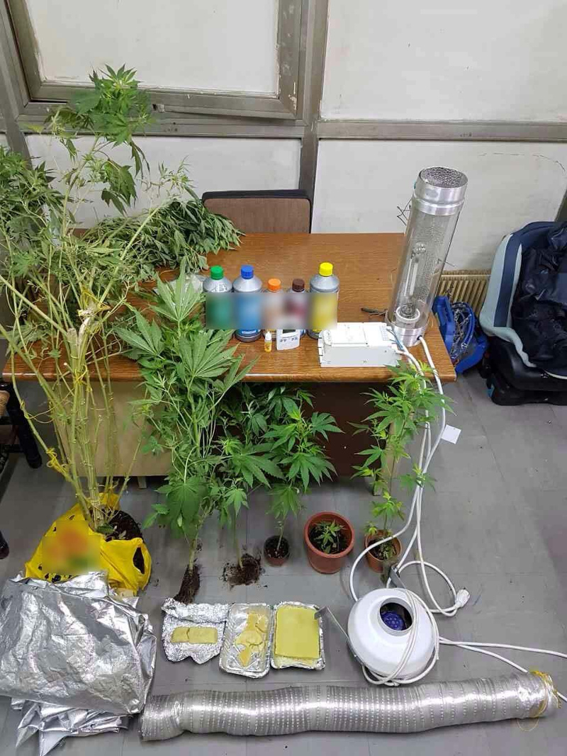 emporos2 | Lamianow.gr