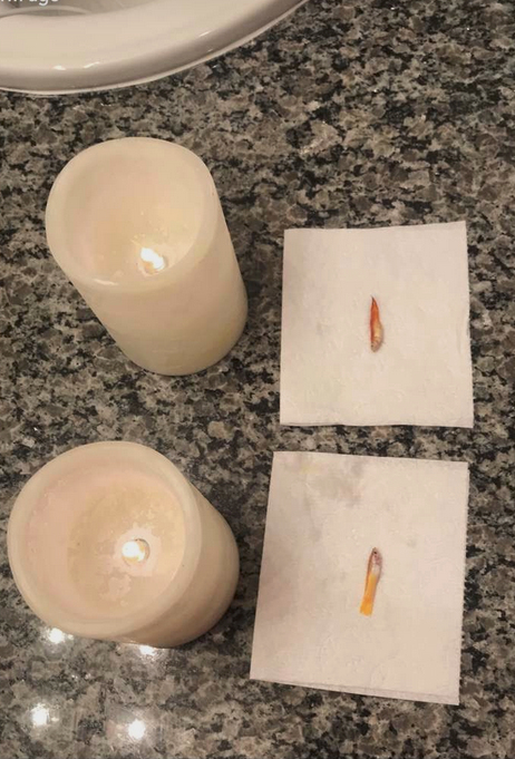 fish222 | Lamianow.gr