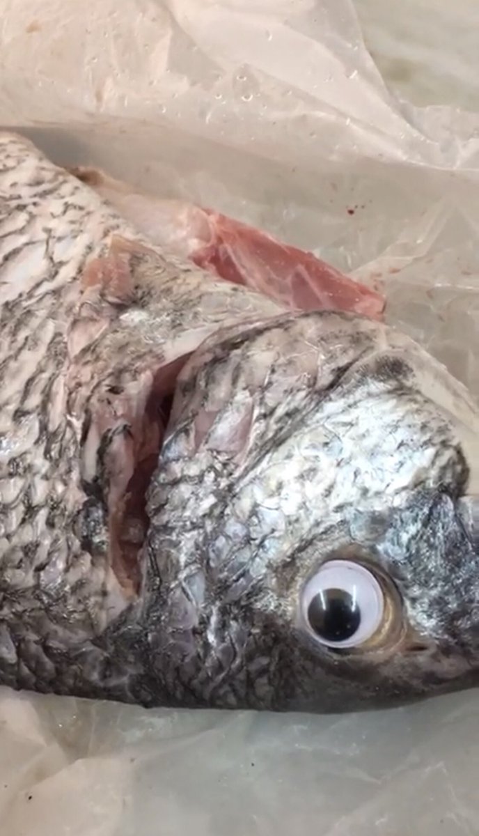 Το ψάρι με τα ψεύτικα μάτια προκειμένου να δείχνει πιο φρέσκο