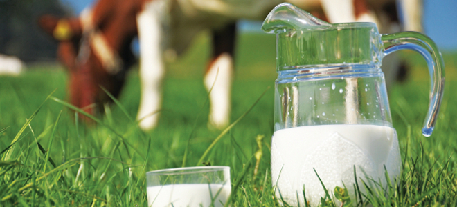  Αναβιώνει ο γαλατάς της γειτονιάς: Ερχεται το φρέσκο γάλα μιας ημέρας