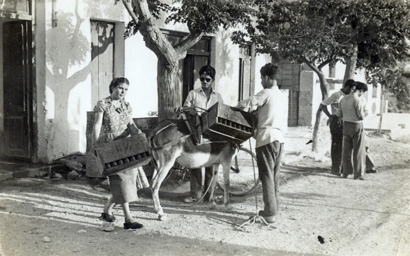 γαιδουρια