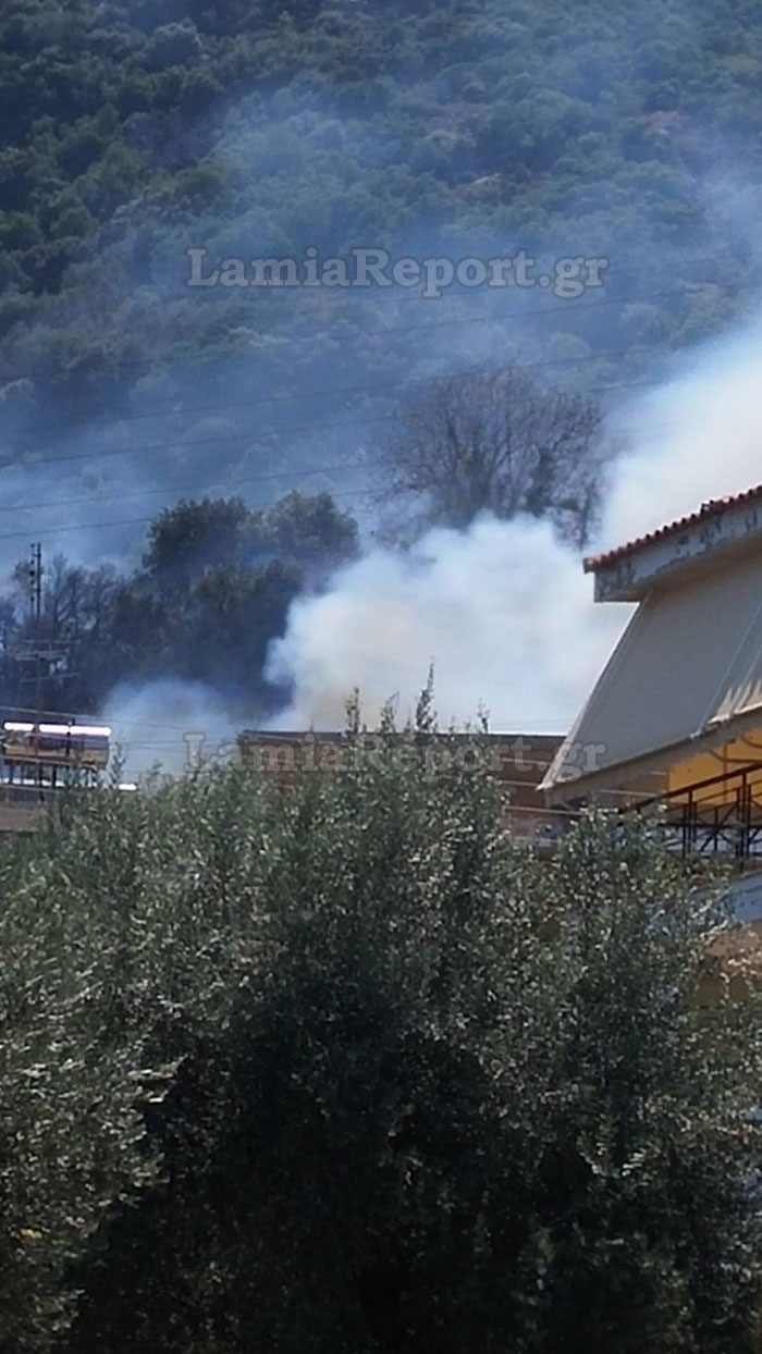 Μεγάλη φωτιά στα Καμένα Βούρλα -Καίει πευκοδάσος, απειλεί σπίτια [εικόνες] kamenav4