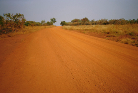 Dzanga-Sangha National Park