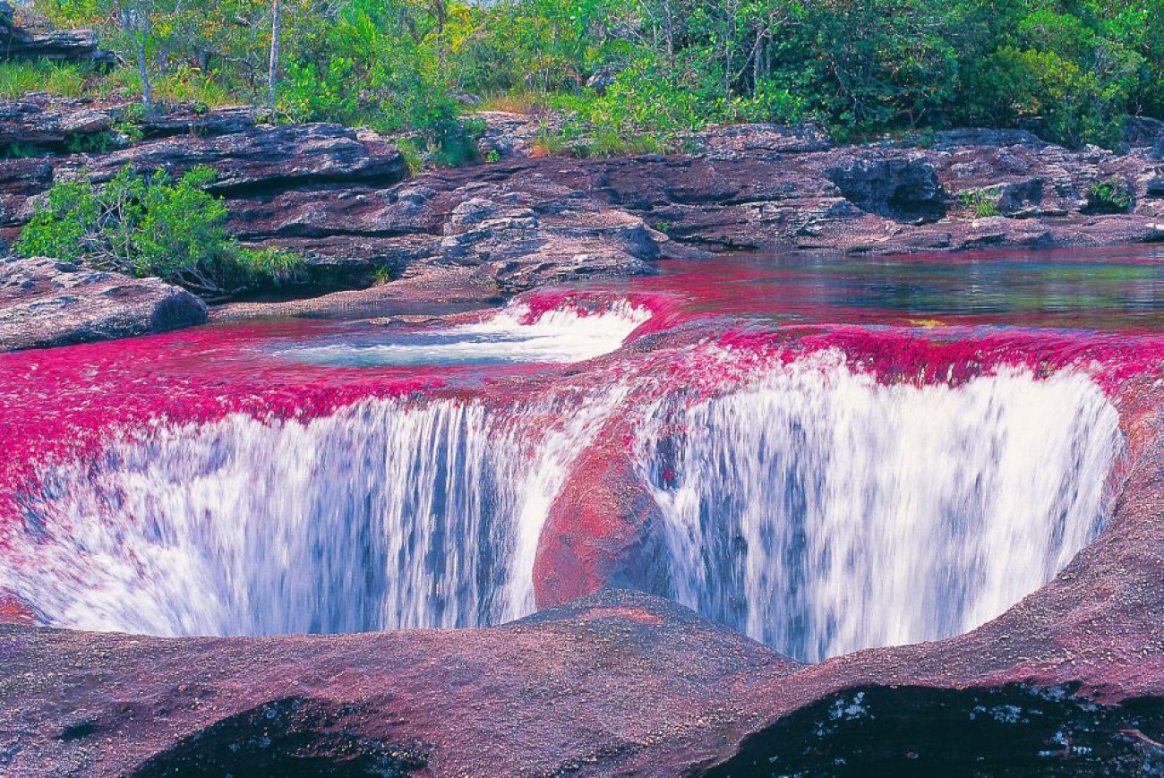 Κάνο Κριστάλες: Το πολύχρωμο ποτάμι της Κολομβίας 