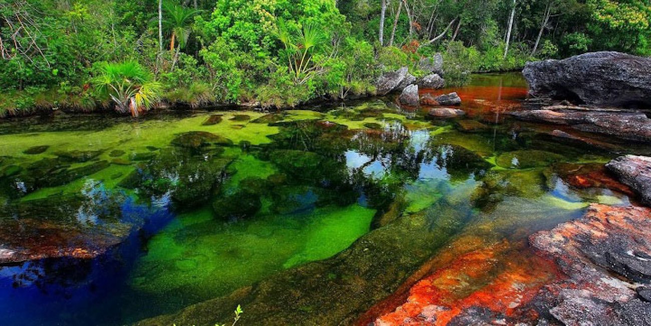 Κάνο Κριστάλες: Το πολύχρωμο ποτάμι της Κολομβίας 