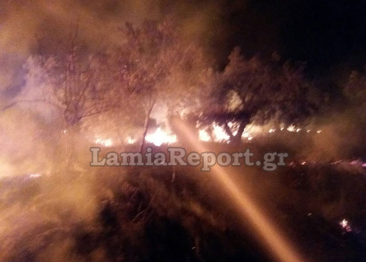 Διερχόμενο τρένο προκάλεσε φωτιά σε περιοχή της Λαμίας [εικόνες]