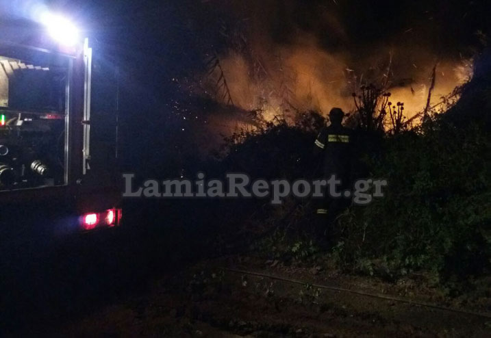 Διερχόμενο τρένο προκάλεσε φωτιά σε περιοχή της Λαμίας [εικόνες]
