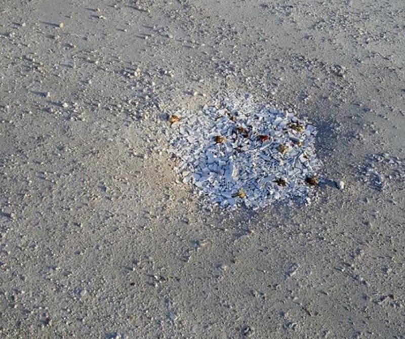 larisa4 iefimerida 1 | Lamianow.gr