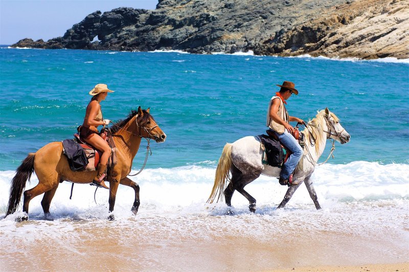 Î¦ÏÏÎ¿Î³ÏÎ±ÏÎ¯Î±: Facebook/ Mykonos Horseland