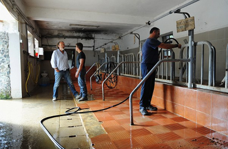 Γοργόνα, ένα νησί επίγειος παράδεισος της Μεσογείου 