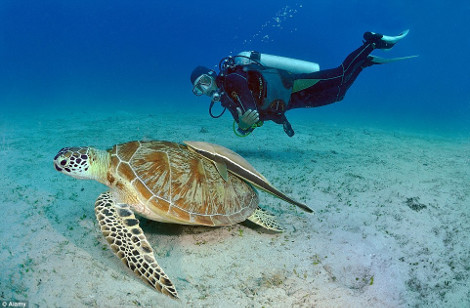 Palawan: Το πιο εξωτικό νησί στον κόσμο 