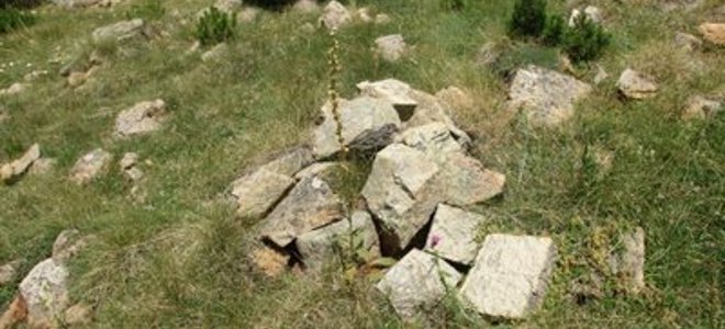 Βοσκός βρέθηκε νεκρός κάτω από πέτρες στη Χαλκιδική