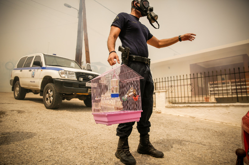 Αστυνομικός απομακρύνει κλουβί με πουλιά από τη φωτιά (EUROKINISSI/ ΣΤΕΛΙΟΣ ΜΙΣΙΝΑΣ)