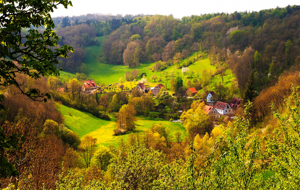 Rothenberg