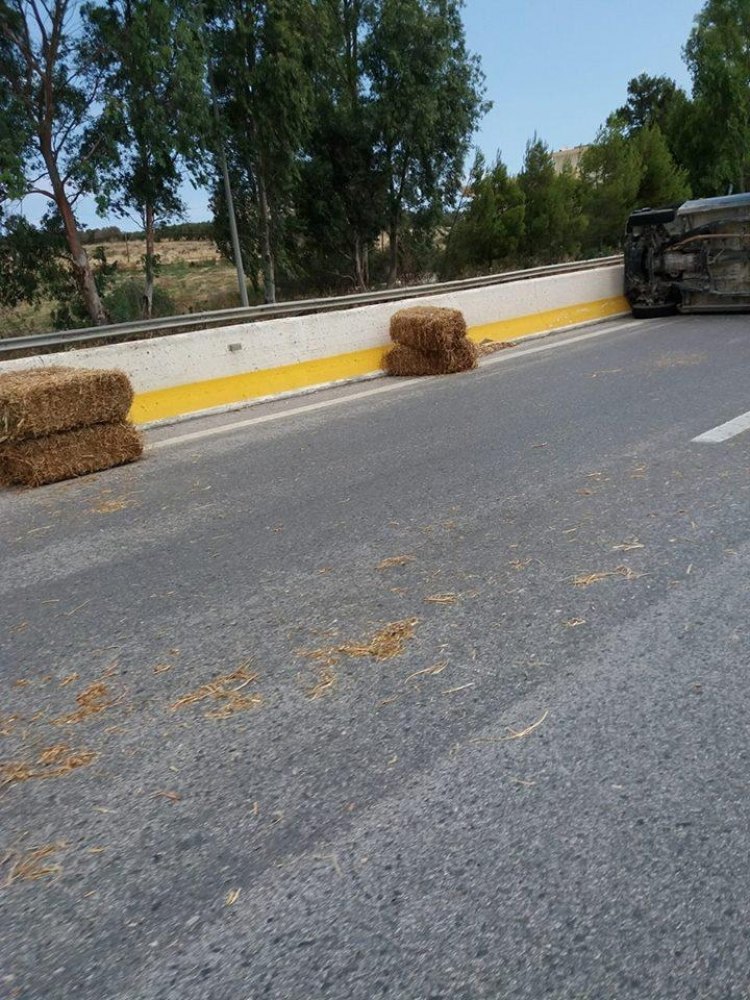 sano.16.6.2 | Lamianow.gr