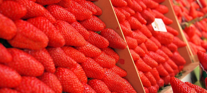 Πώς μπορεί η Ελλάδα να επωφεληθεί από τη μανία των Γερμανών για βιολογικά προϊόντα