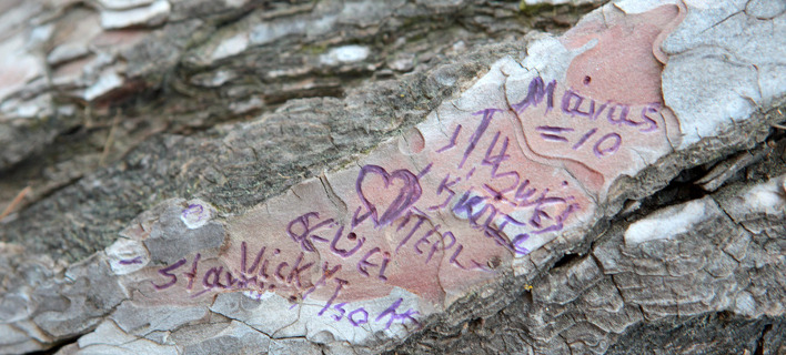 Από πού εμπνεύστηκε η Βίκυ Σταμάτη το μήνυμα που χάραξε στο δέντρο