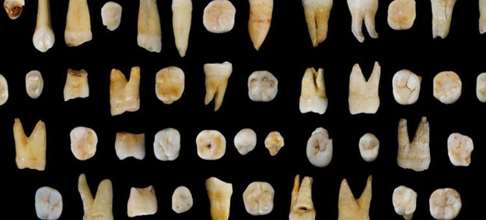  Βρέθηκαν ανθρώπινα δόντια ηλικίας 120.000 ετών -Μια ανακάλυψη που αλλάζει την ιστορία [εικόνα]