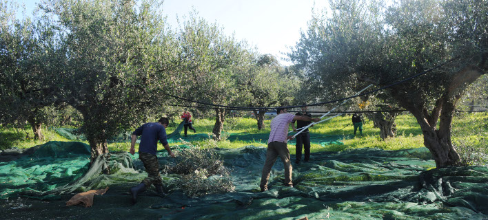 (EUROKINISSI/ ΑΝΤΩΝΗΣ ΝΙΚΟΛΟΠΟΥΛΟΣ)