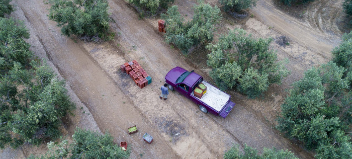 Φωτογραφία: ΜΟΤΙΟΝΤΕΑΜ/ ΒΕΡΒΕΡΙΔΗΣ ΒΑΣΙΛΗΣ