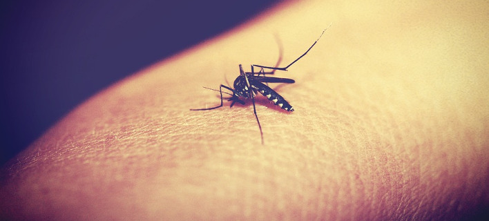 «Kαμπανάκι» ΚΕΕΛΠΝΟ: Υπαρκτός ο κίνδυνος ελονοσίας