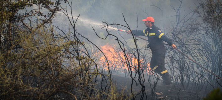 Δύο μεγάλες εστίες πυρκαγιών στην Αμαλιάδα Ηλείας -Φωτογραφίες: ΑΝΤΩΝΗΣ ΝΙΚΟΛΟΠΟΥΛΟΣ/EUROKINISSI