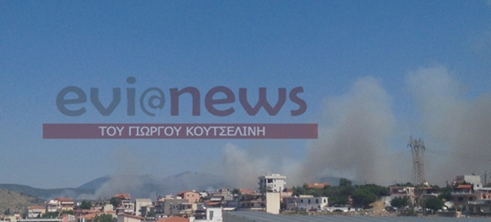 Ανεξέλεγκτη η φωτιά στην Εύβοια - 20 μέτρα μακριά από τα σπίτια