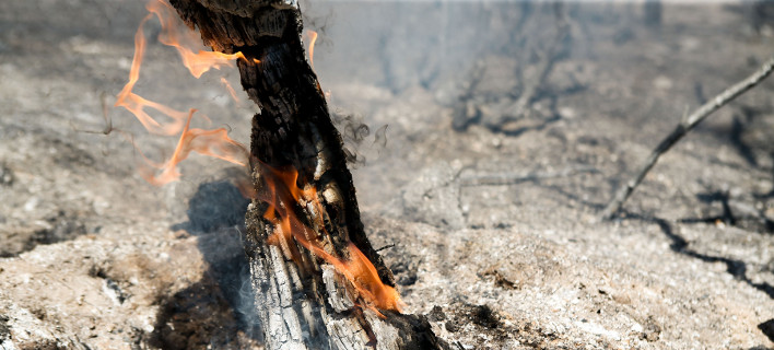 Πολύ υψηλός κίνδυνος πυρκαγιάς την Κυριακή -Σε ποιες περιοχές 