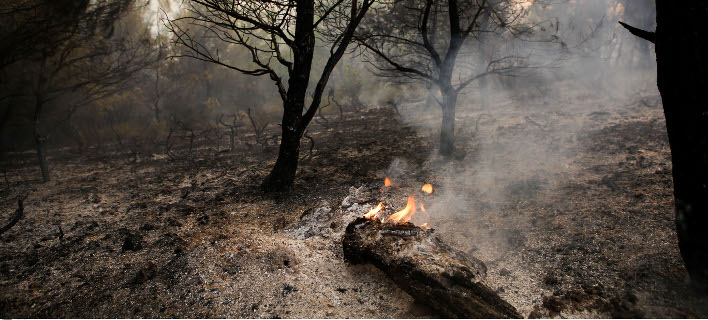 Από την καταστροφική πυρκαγιά στον Βαρνάβα. ΦΩΤΟΓΡΑΦΙΑ: INTIME NEWS /ΜΠΑΜΠΟΥΚΟΣ ΓΙΩΡΓΟΣ
