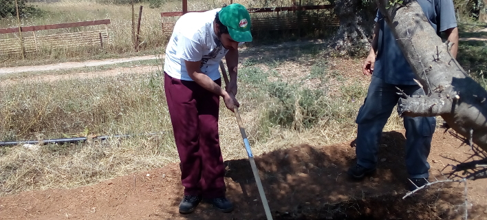 AÏ€ÏŒ Ï„Î¿ Î±Î³ÏÏŒÎºÏ„Î·Î¼Î± ÏƒÏ„Î·Î½ Î Î±Î¹Î±Î½Î¯Î±/Î¦Ï‰Ï„Î¿Î³ÏÎ±Ï†Î¯Î±: AÎ Î•-ÎœÎ Î•