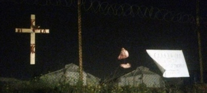 Εικόνες-σοκ: Κάρφωσαν γουρουνοκεφαλή στο hotspot του Σχιστού! [εικόνες]